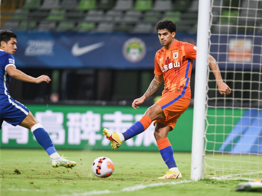 技术支持的 技术支持的